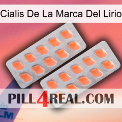 Lily Brand Cialis 27